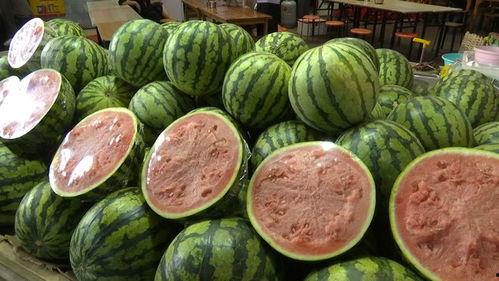 自由拥抱吃瓜视频,吃瓜群众见证时代变迁