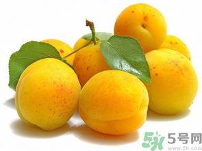 吃瓜能吃杏子吗视频下载,揭秘杏子美味新吃法