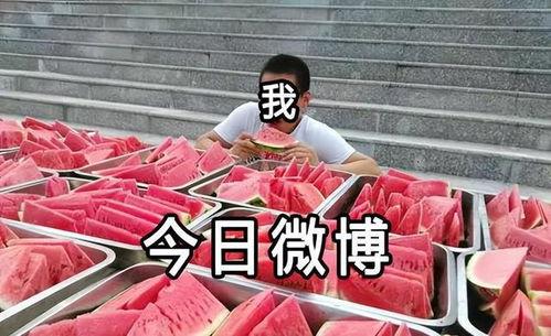 吃瓜博主视频解说,娱乐圈幕后真相大曝光