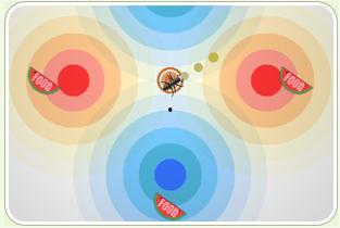 蚂蚁吃瓜的视频,揭秘蚂蚁吃瓜的趣味瞬间