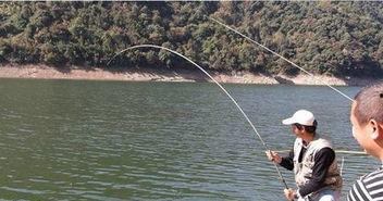 河边钓鱼吃大瓜视频,短视频记录夏日悠闲时光