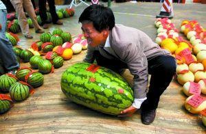 滁州立讯吃瓜比赛视频,一场欢乐的视觉盛宴